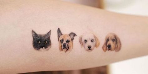 Seeking a heartfelt way to remember your beloved pet? Explore pet memory tattoo designs for a touching tribute. #InLovingMemory #PetTattoo Multiple Pets Tattoo, Multiple Pet Tattoo Ideas, Dog And Cat Tattoo Together, Vet Tech Tattoo, Tattoo Pet, Nose Tattoo, Tattoos Dog, Tech Tattoo, Pet Tattoos