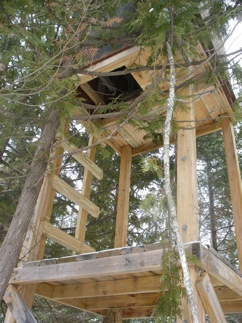 Home Deer Stands - Yahoo Image Search Results Deer Hunting Stands, Hunting Shack, Deer Stand Plans, Shooting House, Bow Hunting Deer, Hunting Stands, Deer Blind, Hunting Diy, Deer Hunting Tips