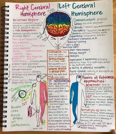 Occupational Therapy Neuro Rehab, Occupational Therapy Study Notes, Physical Therapy Student Notes, Neuro Occupational Therapy, Occupational Therapy Acute Care, Occupational Therapy Inpatient Rehab, Physical Therapy Notes, Occupational Therapy For Adults, Occupational Therapy Activities For Adults