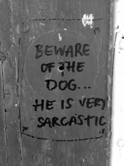 Seth Capella, Sirius Black Aesthetic, Young Sirius Black, David Shaw, Beware Of The Dog, Walburga Black, Shino Aburame, Werewolf Aesthetic, Beware Of Dog