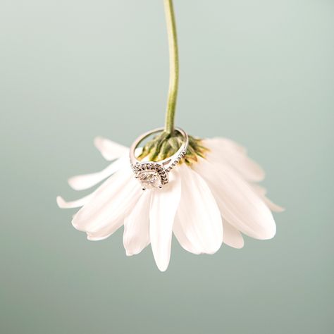 Have your wedding ring shot on a super sweet daisy! Wedding Ring Shots, Ring Photography, Jewellery Photography Inspiration, Jewelry Product Shots, Creative Jewelry Photography, Alternative Wedding Rings, Jewelry Photography Styling, Cool Wedding Rings, Ring Shots