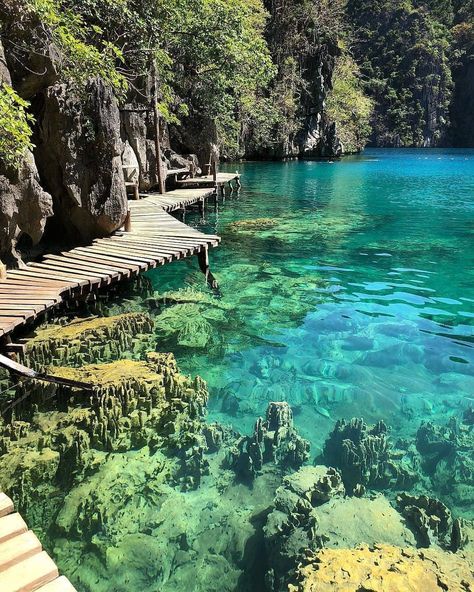 Barracuda Lake | Coron, Palawan | Philippines Barracuda Lake, Coron Palawan Philippines, Coron Island, Coron Palawan, Coron, Destination Voyage, Nature Adventure, Beaches In The World, Palawan