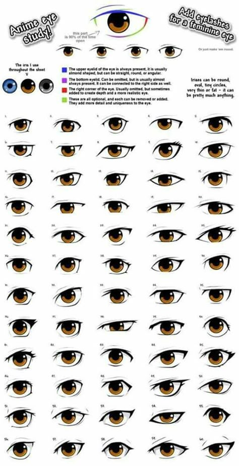 Augen 1 Mehr Mata Manga, Different Types Of Eyes, Regard Animal, Manga Eyes, Eye Drawing Tutorials, 얼굴 드로잉, Eye Sketch, Drawing Eyes, 얼굴 그리기