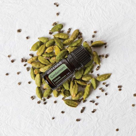 Essential Oil Spotlight: Cardamom | dōTERRA Essential Oils Benefits Of Cardamom, Cardamom Benefits, Cardamom Essential Oil, Positive Mood, Indian Sweets, Oil Uses, E Learning, Purim, Doterra Essential Oils