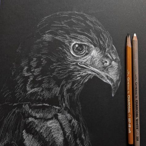 4 Likes, 0 Comments - Lena (@lena_fiveminutediscovery) on Instagram: “Love these charcoal pencils. #drawing #charcoaldrawing #charcoalart #hawkart #drawingoftheday…” Stippling Art, Color Portrait, Bird Watercolor Paintings, Black Paper Drawing, Drawing Color, Sketchbook Drawings, Charcoal Art, Toned Paper, Black White Art