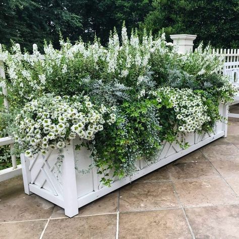 نباتات منزلية, Garden Planter Boxes, Flower Pots Outdoor, White Planters, Outdoor Gardens Design, Garden Containers, Backyard Garden Design, White Gardens, Small Gardens