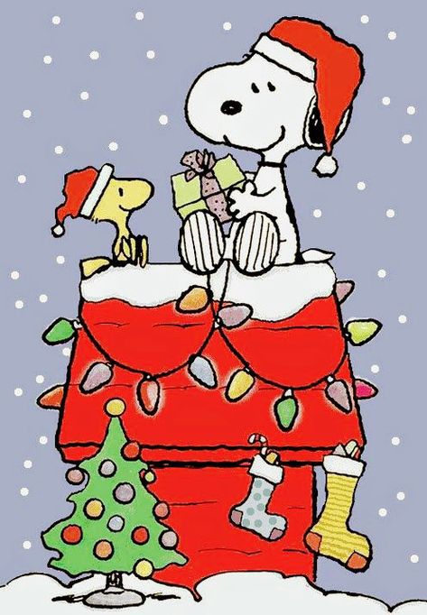 Charlie Brown Christmas Decorations, Christmas All Year, A Charlie Brown Christmas, Christmas Door Decorating Contest, Snoopy Cartoon, Snoopy Funny, Snoopy Images, Snoopy Wallpaper, Snoopy Quotes