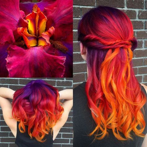 Sunflower Hair Color Ombre Short, Universal Hairstyles, Sunset Hair Color, Multicolor Hair, Sunset Colours, Sunset Hair, Fire Hair, Vivid Hair Color, Creative Hair Color