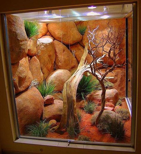 Diy Desert, Desert Terrarium, Bearded Dragon Vivarium, Terrarium Background, Bearded Dragon Terrarium Ideas, Bearded Dragon Diy, Diy Reptile, Bearded Dragon Terrarium, Bearded Dragon Enclosure