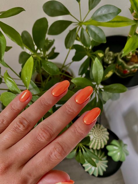 Orange Winter Nails, Orange Chrome Nails Fall, Chrome Fall Nails, Orange Chrome Nails, Almond Nails Aesthetic, Aesthetic Nails Summer, Orange Fall Nails, Red Orange Nails, Orange Chrome