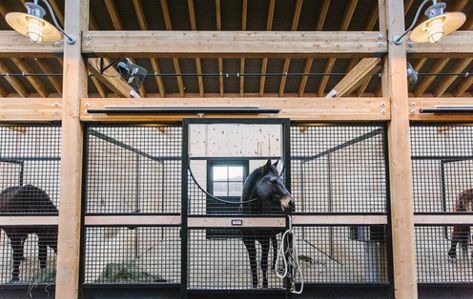 Dream Barn Stables, Equestrian Barns, Stable Style, Horse Barn Ideas Stables, Barn Stalls, Horse Barn Designs, Dream Horse Barns, Horse Barn Plans, Horse Facility