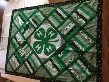 4-H Quilt, 2017 Ffa Quilt, Jean Quilts, 4h Projects, 4h Ideas, Blue Jean Quilts, 4 H Club, Rag Quilt Patterns, Jean Quilt, Entry Ideas