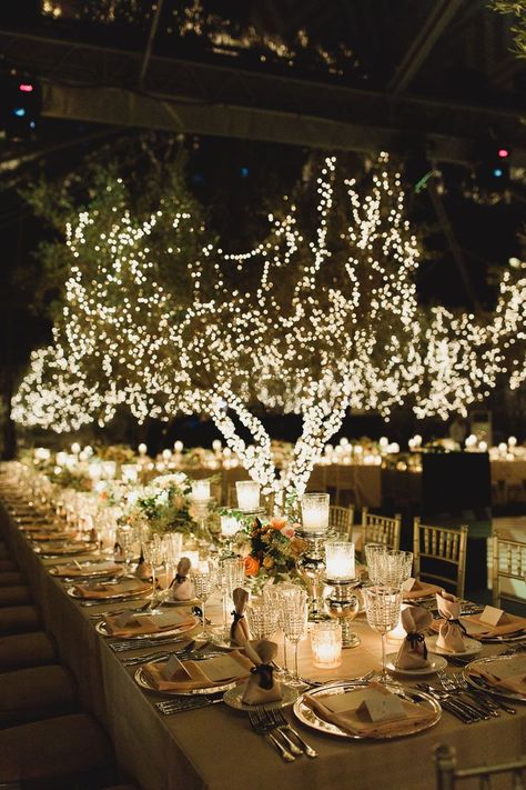 Weddings Projects & Themes : FIREFLIES NIGHT | DeplanV Firefly Wedding Theme, Firefly Garden, Bonfire Wedding, Firefly Wedding, Wedding Reception Themes, Wedding Website Design, Fall Wedding Ideas, Project Theme, Ball Ideas