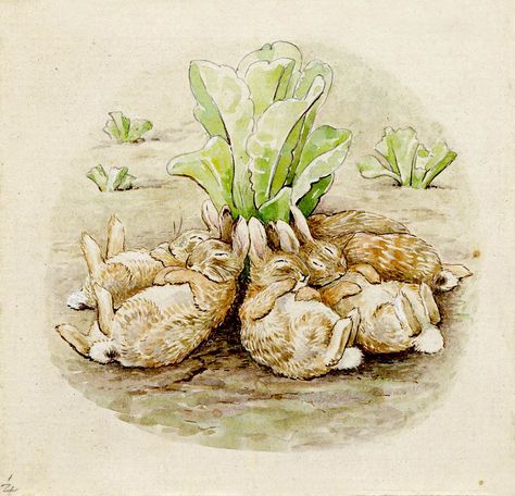 Helen Beatrix Potter (1866 – 1943) English author, illustrator, mycologist and conservationist Pen ink and watercolor on paper the British museum Peter Rabbit Illustration, Antique Nursery, Beatrix Potter Illustrations, Beatrice Potter, Peter Rabbit And Friends, Benjamin Bunny, Marjolein Bastin, Potter Art, 22 December