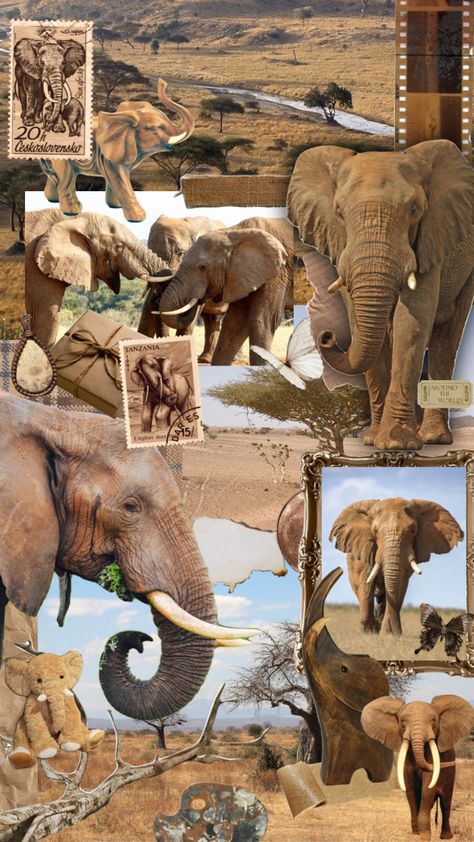 my fav animal #elephant #africanelephant #brown #brownaesthetic #dn Elephant Collage, Fav Animal, Bff Photography, Animal Elephant, Fashion Wallpaper, African Elephant, Mood Board Fashion, Brown Aesthetic, Wallpaper Aesthetic