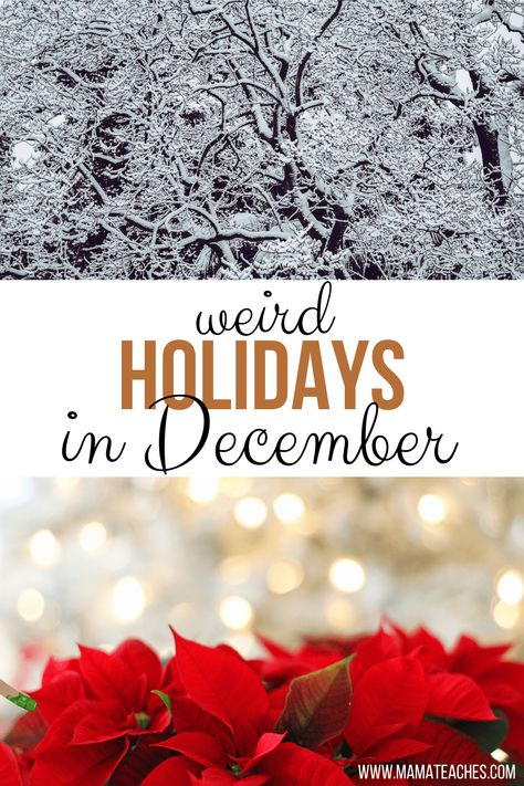 Fun Days In December, Holidays In December, Christmas Fun Facts, December Themes, Christmas Traditions Kids, September Holidays, Silly Holidays, National Christmas Tree, December Activities