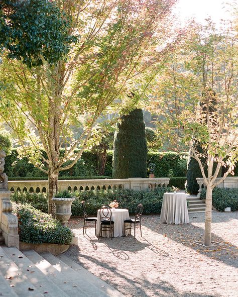 Beaulieu Garden in Rutherford, California wedding reception venue Beaulieu Garden Wedding, Beaulieu Garden, Intimate Outdoor Wedding, Ballroom Reception, Napa Valley Wedding, Edible Wedding Favors, Sunken Garden, Thai Wedding, San Francisco City Hall