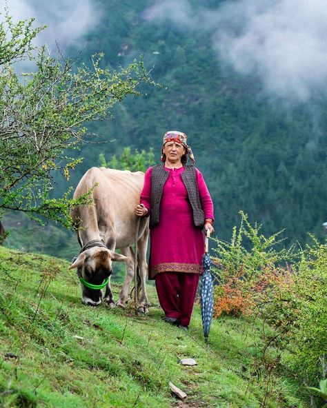 Himachali People 🇮🇳 on Instagram: “Happy Monsoon 🌼 . . . . . . . . . . . . . . . . PC - @vineetsharma527 . . . . . . .  Clean Himachal💙  Green Himachal💚 . . .  Share your…” Himachali Culture, Himachal Culture, Village Vibes, Life Sketch, Indian Art Gallery, States Of India, Shimla, Himachal Pradesh, People Photography