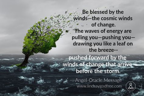 change winds quote – Lindsay Godfree Winds Of Change Quotes, Oracle Messages, Wind Quote, Wind Of Change, Change Quotes, Law Of Attraction, Angel, Energy, Quotes