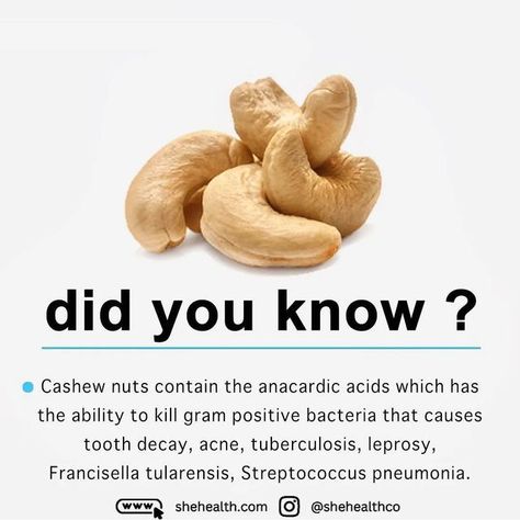 Cashew Nuts Benefits, Nuts Benefits, Nut Benefits, Nutritional Cleansing, Food Health Benefits, Healing Foods, Food Supplements, Did You Know Facts, Healthy Benefits