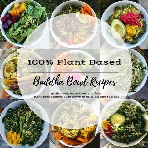 100% Plant Based Meal Plan + Recipes.pdf Brooke Goldner Recipes, Plant Based Meal Plan, Plant Based Meal Planning, Buddha Bowls Recipe, Plant Based Meal, Meal Plan Recipes, Buddha Bowl, Healthy Protein, Bowls Recipe