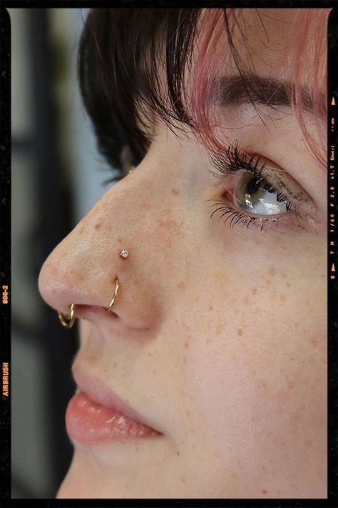 Double Nose Piercing + Septum piercing Nose Piercing On A Big Nose, Nose Piercing On Crooked Nose, Long Nose Septum Piercing, Interesting Nose Piercings, Nose Piercing For Nose Types, Paired High Nostrils, Septum Piercing On Long Nose, Four Nose Piercings, Double Nose Piercing Big Nose