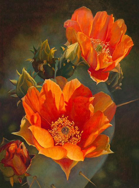 Prickly Pear Flowers, Cactus Paintings, Cactus Pictures, Desert Beauty, Succulent Art, Pear Cactus, Cactus Painting, Prickly Pear Cactus, Desert Flowers