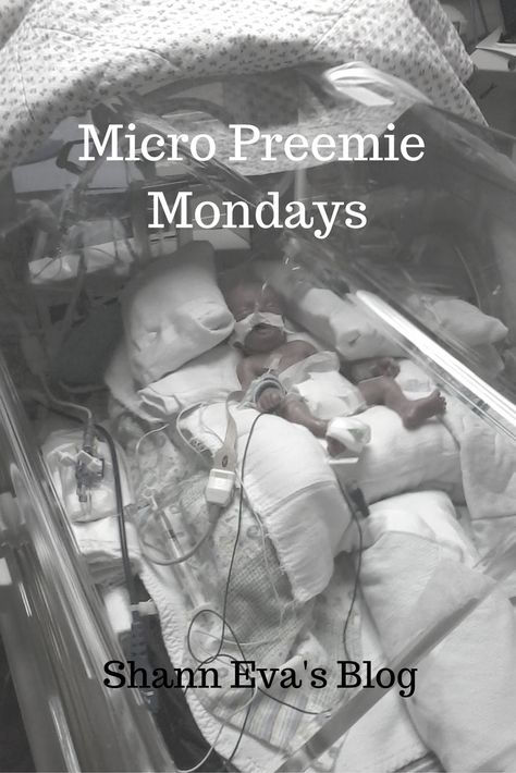 Please title your message: Micro Preemie Monday or NICU Experience, Name of Your Child, Date I publish stories in the order received. #babies #premature https://www.shanneva.com/submit-micro-preemie-story/ Dad Birthday Quotes, Father Son Quotes, Premature Birth, Neonatal Nurse, Micro Preemie, Bob Marley Quotes, Memorial Poems, Country Girl Quotes, Father Quotes