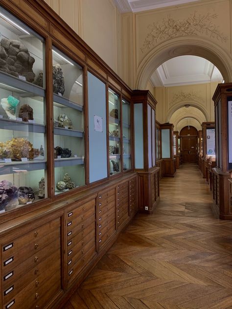 Long hallway with wooden floors, lined with wooden shelves filled with rocks and minerals in glass cases Museum Conservator Aesthetic, Home Museum Display, Museum Archivist Aesthetic, Green Museum Aesthetic, Researching Aesthetic, Natural History Museum Aesthetic, Archeology Aesthetic Room, Vintage Museum Aesthetic, Science Museum Aesthetic