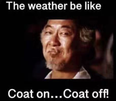 Rain Humor, Weather Humor, Off Color Humor, Winter Humor, Mother Nature Quotes, Weather Memes, Weather Quotes, Cute Funny Pics, Quotes Words