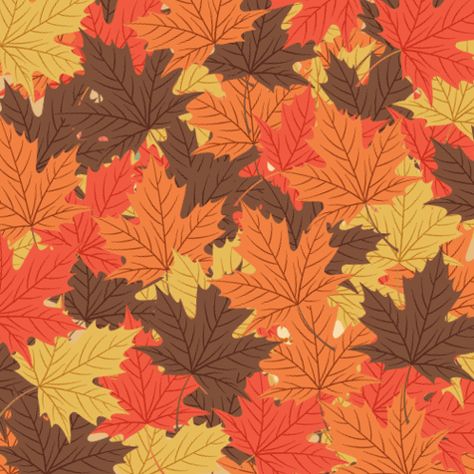 Hello Fall First Day Of Fall GIF - Hello fall First day of fall Happy first day of fall - Discover & Share GIFs Fall Gif, Autumn Gif, Gif Hello, Falling Gif, Happy First Day Of Fall, First Day Of Fall, Tan Background, Hello Fall, Hello Autumn