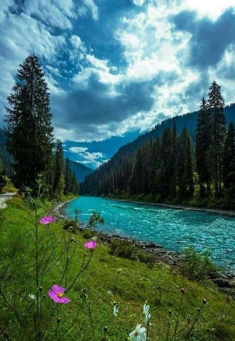 #northern #valley #pakistan #photography #photooftheday #phoot #islamicaesthetic #beauty Gurez Valley Kashmir, Kashmir India Beauty, India Asthetic Pics, Kashmir Background, Kashmir Aesthetic Pictures, Kashmir Flowers, Kashmir Landscape, Kashmir Pics, Kashmir Culture