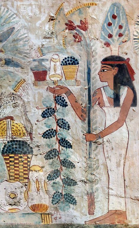 Ancient Egyptian Painting, Tree Goddess, Starověký Egypt, Egyptian Painting, Egyptian Artifacts, Ancient Egypt Art, Empire Romain, Old Egypt, Egypt History