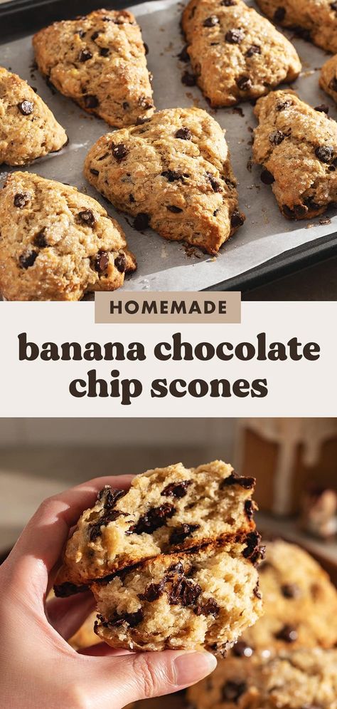 These banana chocolate chip scones are never dry thanks to the mashed banana in them. They're an extra decadent breakfast or snack with the melty chocolate chips sprinkled throughout. #scones #chocolatechip #bananascones | teakandthyme.com Banana Chocolate Chip Scones, Banana Scones Recipe Easy, Chocolate Chip Scones Recipe Easy, Banana Scones Recipe, Decadent Breakfast, Banana Scones, Chocolate Chip Scones, Kitchen Aid Recipes, Chocolate Scones