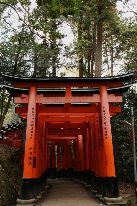 Kyoto Travel: Fushimi Inari Shrine Kyoto Shrine, Tori Gate, Fushimi Inari Shrine, Inari Shrine, Fushimi Inari, Kyoto Travel, Japan Food, Kyoto Japan, Train Travel