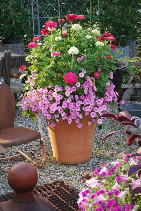 Deborah Silver, Garden Life, Garden Containers, Container Gardens, French Garden, Container Flowers, Window Boxes, Flowers Garden, Gardening For Kids