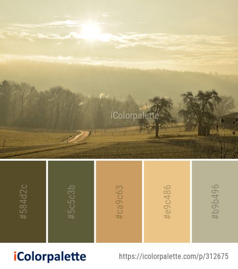 Color Palette Ideas from Sky Field Morning Image Early Morning Color Palette, Farm Color Palette, Morning Color Palette, Color Palette Ideas, Warm Palette, Palette Ideas, Mural Ideas, Grass Field, Morning Sky