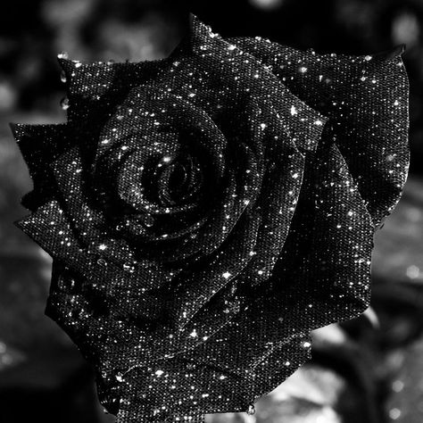 Dark Diamond Aesthetic, Black And Silver Aesthetic Wallpaper, Diamonds Aesthetic Dark, Glitter Aesthetic Quotes, Black Glitter Aesthetic Wallpaper, White Sparkly Aesthetic, Dark Glitter Aesthetic, Black Sparkly Aesthetic, Silver Glitter Aesthetic