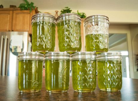 Basil Jelly, Thai Basil Recipes, Hot Pepper Jelly, Canning Food Preservation, Growing Basil, Basil Recipes, Basil Sauce, Lemon Basil, Jam And Jelly