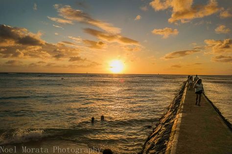 Things To Do In Honolulu, Ala Moana Beach, Honolulu Zoo, Hanauma Bay, Lanikai Beach, Magic Island, Visit Places, Hawaii Life, Waikiki Beach