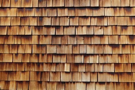 Abstract wooden texture of cedar shingles royalty free stock photo Cedar Shingle, Cedar Shingles, Wooden Texture, Vector Design, Austria, Royalty Free Stock Photos, Vector Free, Siding, Royalty