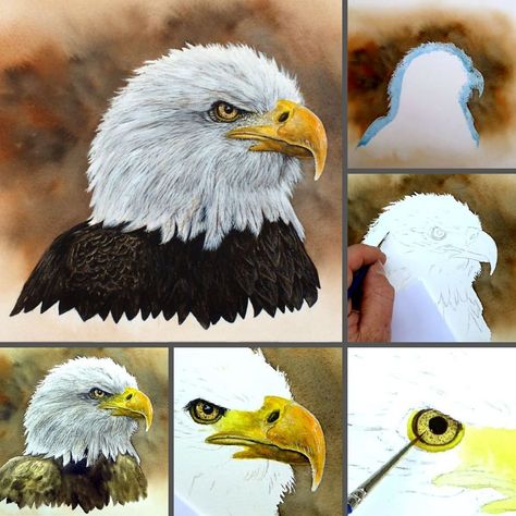 Birds In Watercolor, Watercolour Bird, Devon Artist, American Birds, Eagle Painting, Step By Step Watercolor, Watercolor Kit, Watercolor Video, Learn Watercolor