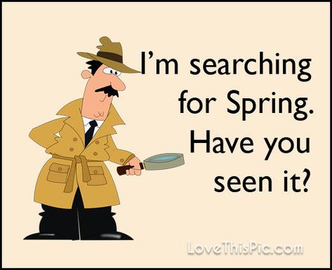 Spring Meme Funny, Happy Spring Quotes Funny, Spring Funny Quotes, Spring Quotes Funny, Spring Humor, Spring Meme, Funny Quotes Pictures, Funny Qotes, Quotes Spring