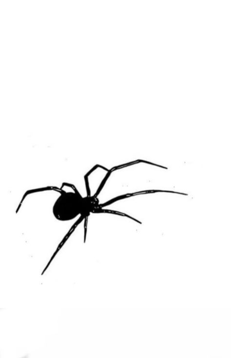 Black Widow Spider Tattoo, Web Tattoo, Black Widow Spider, Spider Tattoo, Dad Tattoos, Tattoo Lettering, Spiders, Tattoo Style, Future Tattoos