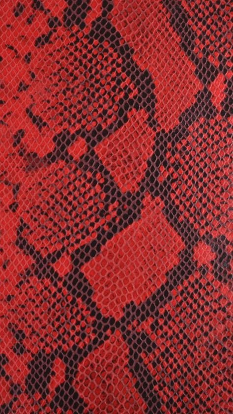 Red Aesthetic Grunge, Red Snake, Green Inspiration, Animal Print Wallpaper, Snake Skin Pattern, Snake Patterns, Photo Wall Collage, Red Wallpaper, Animal Skin