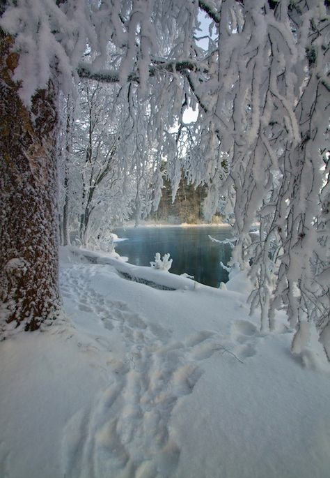 Hidden Ice I Love Snow, Snow Pictures, I Love Winter, Winter Photos, Winter Love, Airbrush Art, Winter Magic, Winter Scenery, Winter Beauty