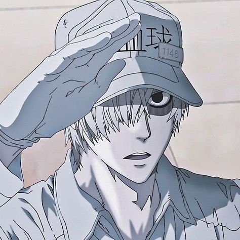 White Blood Cell Cells At Work, Cells At Work Pfp, Cells At Work White Blood Cell, Animation Character Concept, Work Anime, White Blood Cell, Work Icon, Cells At Work, Demon Lord