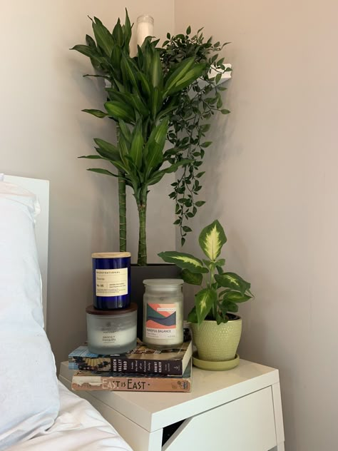 Dorm With Plants, Aesthetic Room Items, Bedside Plants, Plants In Bedroom Aesthetic, Plant Room Ideas, Dorm Plants, Room Decor Plants, Aesthetic Apartment Decor, Decoration Plants