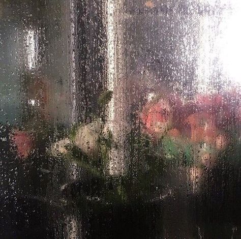 Window Flowers, Rainy Window, Flower Shower, Nothing But Flowers, Flower Therapy, Spotify Covers, Sweet Nothings, Playlist Covers, Spotify Playlist