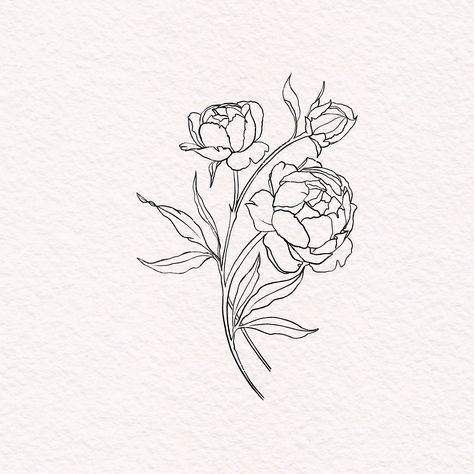 Rose Fine Line Drawing, Peony One Line Drawing, Peony Bud Drawing, Paeonia Tattoo, Peony Tattoo Outline, Peonies Drawing Simple, Peony Doodle, Peony Outline Tattoo, Peony Tattoo Sketch